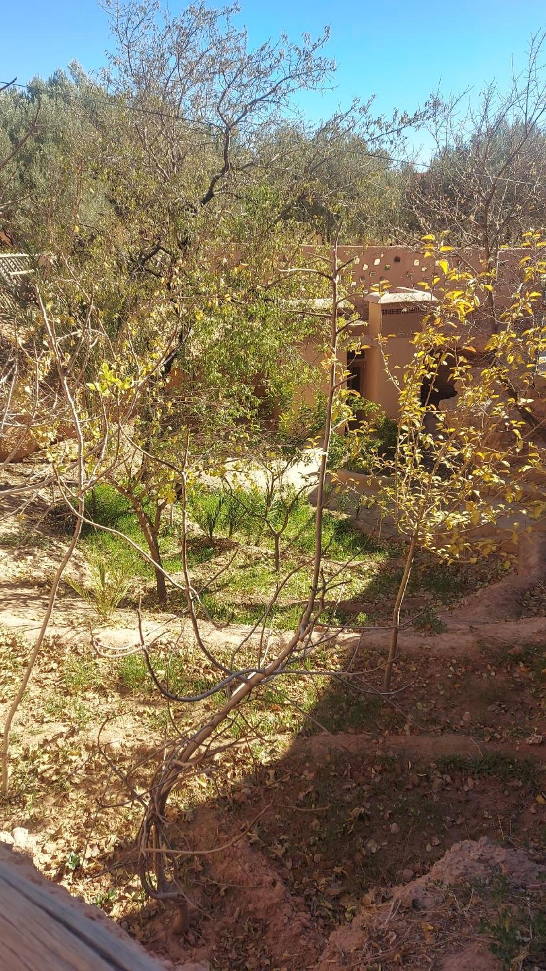 Ecolodge Miss Rose Chez La Famille Boumalne 외부 사진